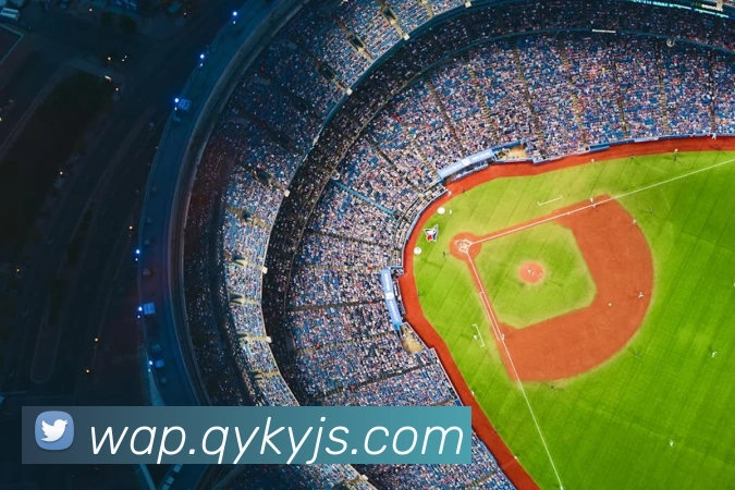 爱游戏网页版入口APP 封面图